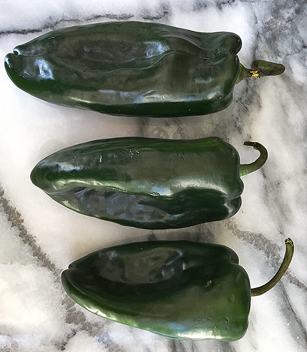 roasted poblano chile sauce