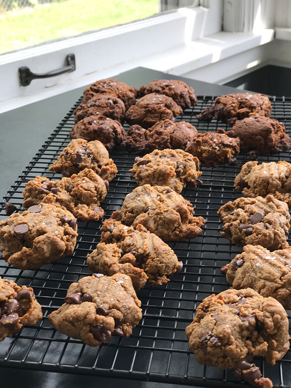 Gluten Free Peanut Butter Chocolate Chip Cookies