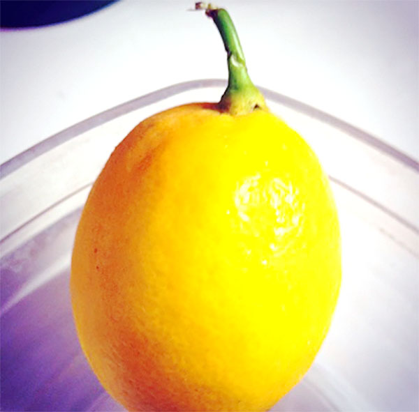 #lemons