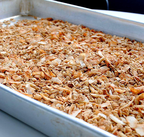 toasted granola with coconut and almonds