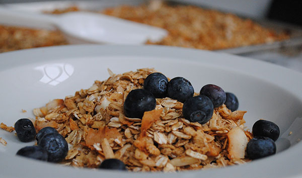 granola with blueberries