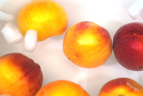 submerge blanched peaches in ice water bath