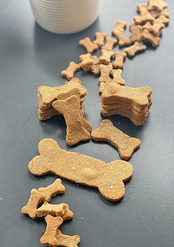 bone-shaped dog treats on a counter with cookie jar