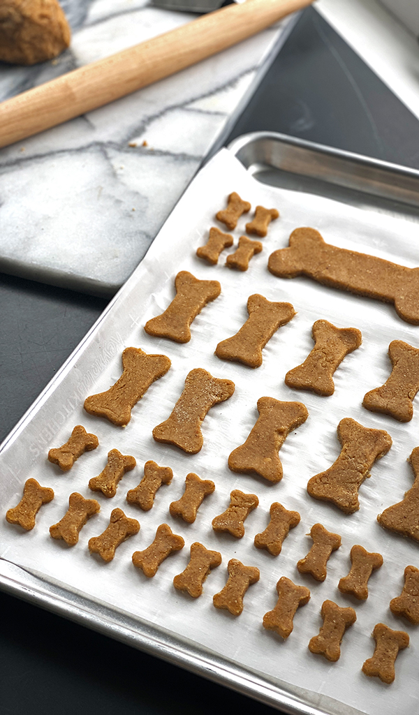 bone-shaped peanut butter dog treats on white parchment paper lined cookie sheet