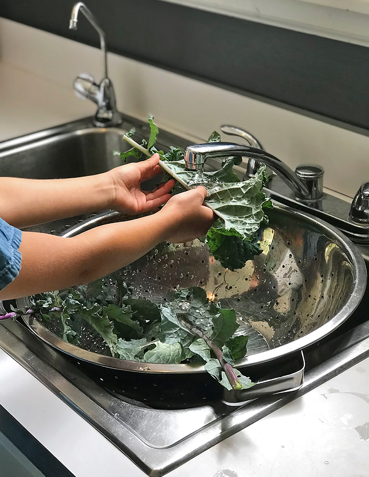 seven year old child rinsing and de-stemming kale over water and a silver colander in sink