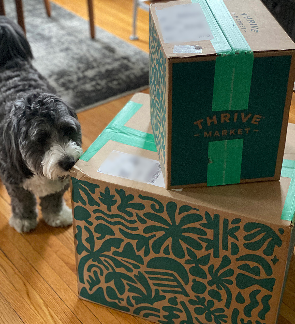 Two green and cardboard boxes stacked that say Thrive Market on a wood floor with a bernedoodle dog sniffing around the boxes. 